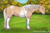 Horse Color:Silver Sable Champagne Tobiano Rabicano