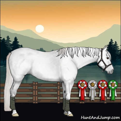 Horse Color:Gray Silver Brown Roan Dun Tobiano