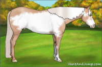 Horse Color:Silver Sable Champagne Frame 