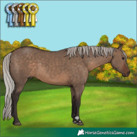 Horse Color:Silver Brown Dun 