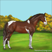 Horse Color:Liver Chestnut Sabino Splash Tobiano Rabicano 