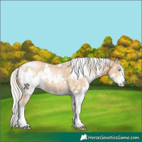 Horse Color:White Spotted Silver Smoky Black Pearl Sabino 