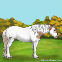 Horse Color:Black Pearl Splash Tobiano Frame