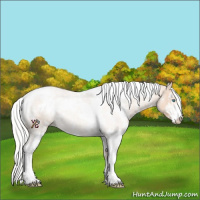 Horse Color:White Spotted Silver Perlino Sabino