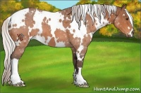 Horse Color:White Spotted Silver Brown