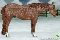 Horse Color:Chestnut Ice 