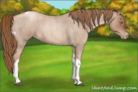 Horse Color:Liver Red Roan Pearl Tobiano 