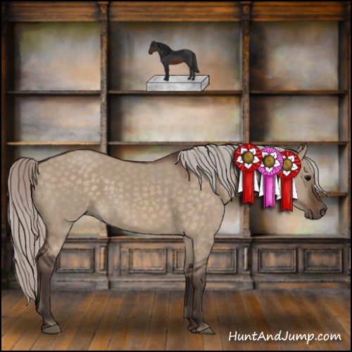 Horse Color:Silver Brown Dun 