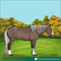 Horse Color:Silver Brown Dun 