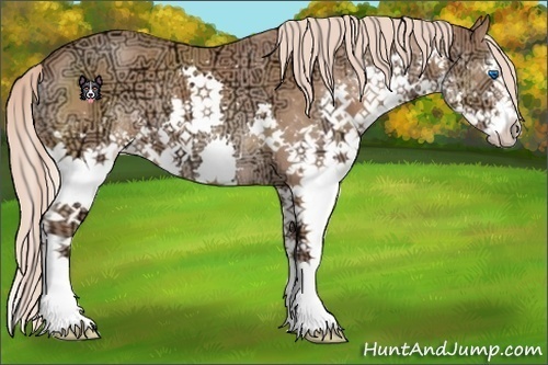 Horse Color:Chestnut Ice Sabino Splash