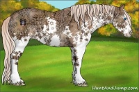 Horse Color:Chestnut Ice Sabino Splash 