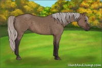 Horse Color:Silver Brown Dun