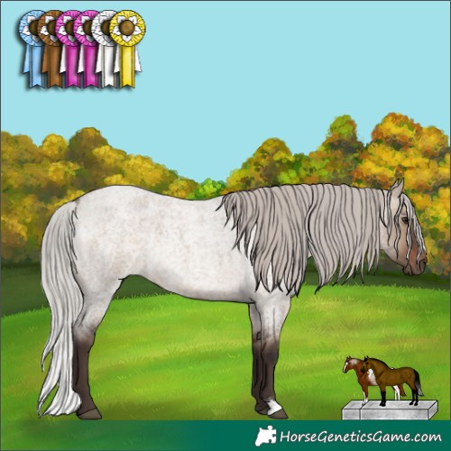 Horse Color:Silver Brown Roan Dun 