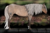 Horse Color:Silver Brown Roan Dun 