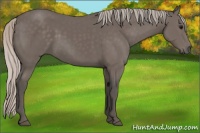 Horse Color:Silver Black 