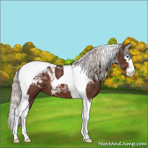 Horse Color:Silver Bay Splash Tobiano 