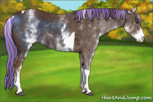 Horse Color:Painted White Spotted Liver Chestnut Tobiano 