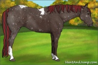 Horse Color:Painted Liver Chestnut Tobiano 