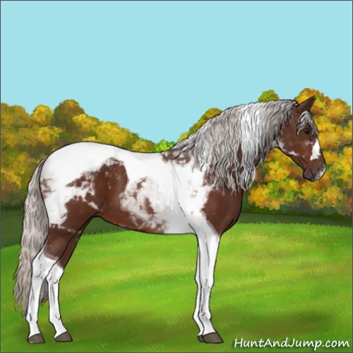 Horse Color:Silver Bay Tobiano