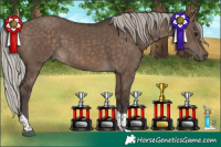 Horse Color:Silver Brown Dun Tobiano