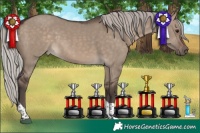 Horse Color:Silver Brown Dun Tobiano 