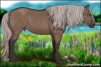Horse Color:Silver Brown Dun