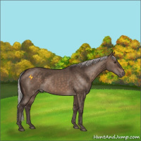 Horse Color:Silver Brown Dun