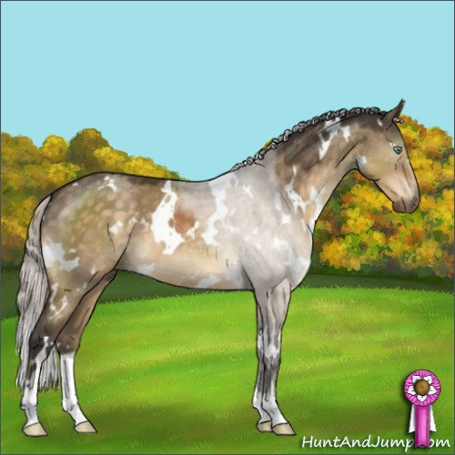Horse Color:White Spotted Silver Buckskin Dun Mushroom 