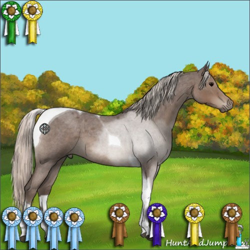 Horse Color:Silver Blue Roan Tobiano