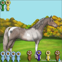 Horse Color:Silver Blue Roan Tobiano 