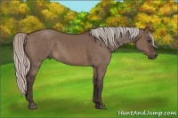 Horse Color:Silver Brown Dun 