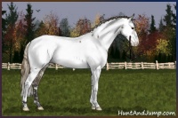 Horse Color:Smoky Grullo Fewspot 