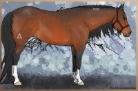 Horse Color:Brown 