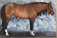 Horse Color:Brown Rabicano 