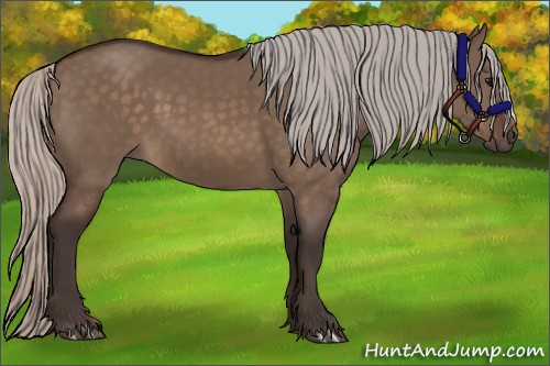 Horse Color:Silver Brown Dun 
