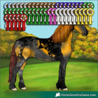 Horse Color:Void Painted Black Tobiano