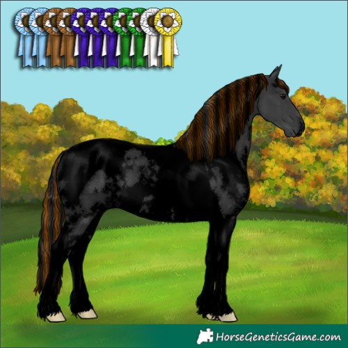 Horse Color:Void Painted White Spotted Black Tobiano 