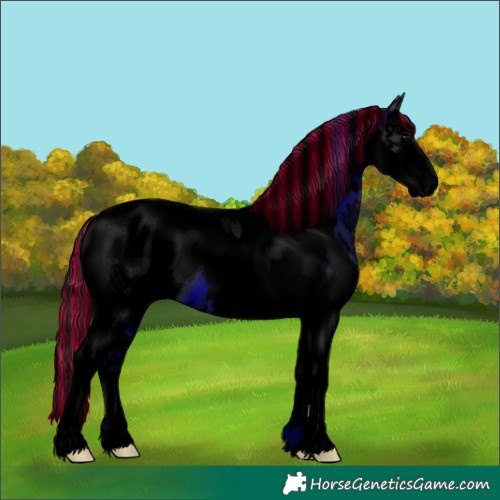 Horse Color:ERROR: UNKNOWN ANOMALY