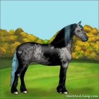 Horse Color:Void Watercolor Grullo Ice Tobiano 