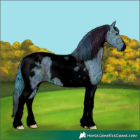 Horse Color:Void Nacre Watercolor Black Ice Tobiano 