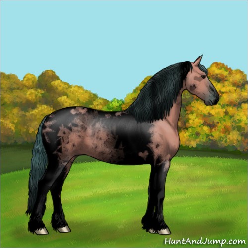 Horse Color:Void Watercolor Grullo Tobiano