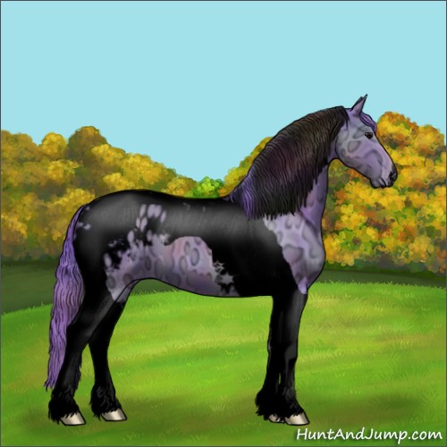 Horse Color:Void Nacre Watercolor Black Ice Tobiano Appaloosa