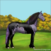 Horse Color:Void Nacre Watercolor Black Ice Tobiano Appaloosa 