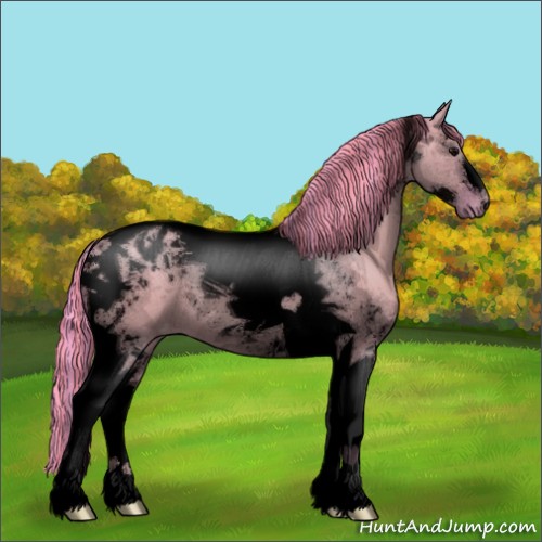 Horse Color:Void Painted Watercolor Grullo Tobiano Appaloosa
