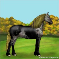 Horse Color:Void Painted Nacre Brown Ice Dun Tobiano Appaloosa 