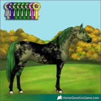 Horse Color:Void Watercolor Grullo Tobiano Brindle 