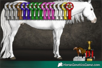 Horse Color:Silver Brown Roan Dun Appaloosa