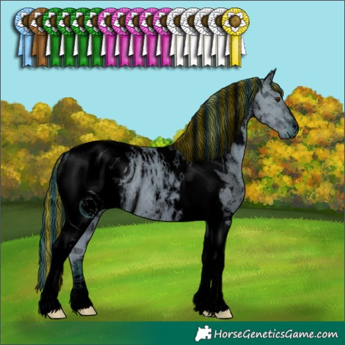 Horse Color:ERROR: UNKNOWN ANOMALY