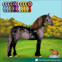 Horse Color:Void Painted Watercolor Grullo Tobiano