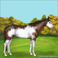 Horse Color:Brown Splash Frame 